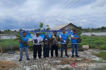 PLN bantu hijaukan Madura lewat penanaman pohon