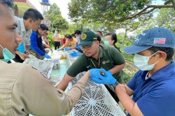 Badan Karantina Banten gagalkan penyeludupan 700 ekor burung