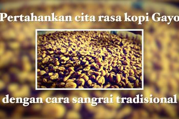 Pertahankan cita rasa kopi Gayo dengan cara sangrai tradisional