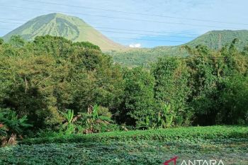 Badan Geologi imbau warga  patuhi radius bahaya Gunung Lokon