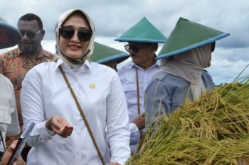 Dapur Program MBG perlu gandeng UMKM sebagai pemasok