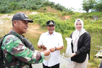 Gubernur Sulbar tebar bibit ikan nila di Sungai Budong-Budong Mamuju Tengah