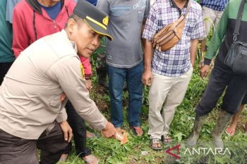 Polres OKU selidiki kasus pembunuhan ketua rukun tetangga tewas di Jembatan Kisam