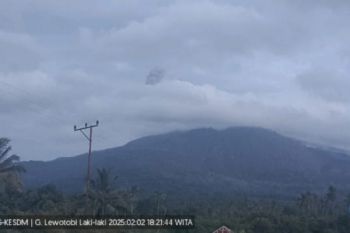 Gunung Lewotobi Laki-laki  di Flores Timur erupsi dua kali pada Minggu kemarin