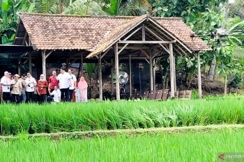 Menko Zulhas minta Banyuwangi berbagi ilmu pertanian milenial dengan daerah lain