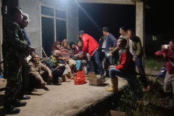 Harimau sumatera kembali meresahkan warga Lampung Barat