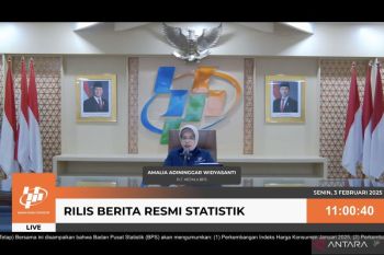 BPS sebut diskon tarif listrik akibatkan Januari catat deflasi 0,76 persen