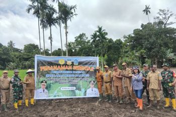Jayapura tanam serentak padi gogo mendukung swasembada pangan