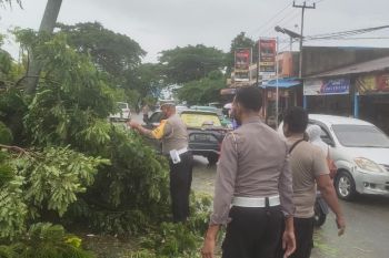 BPBD Jayapura imbau masyarakat waspada cuaca ekstrem