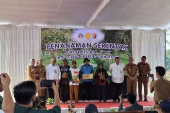 Kementan beri bantuan benih 40 kg per ha untuk petani hutan Lampung