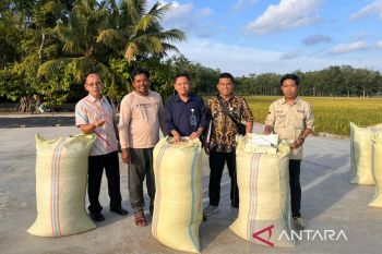 Bulog OKU targetkan serap 40 ribu  ton gabah petani