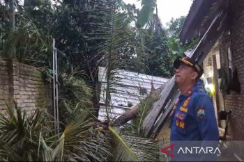 Pohon tumbang timpa rumah warga di Kalianda