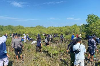 KKN Unram gelar penanaman mangrove di Ketapang Raya Lombok Timur