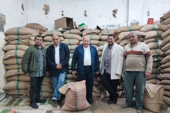 KBRI Kairo tinjau kiriman 600 ton biji kopi robusta dari Lampung