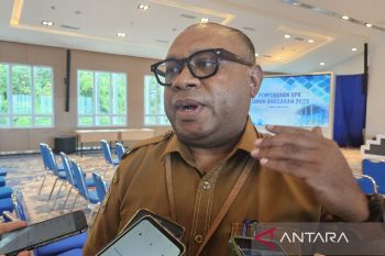 Pemprov: dana otonomi khusus Papua 2025 terpangkas hingga Rp19 miliar