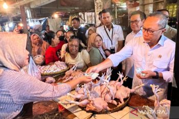 Menko Pangan Zulhas beli pangan dibagi ke masyarakat di Pasar Klender