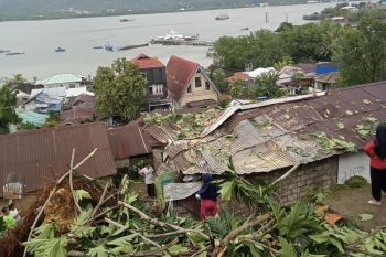 Hujan dan angin kencang di Ambon rusak rumah warga, 11 pohon tumbang