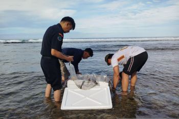 Oknum polisi jadi tersangka penyelundupan BBL ilegal