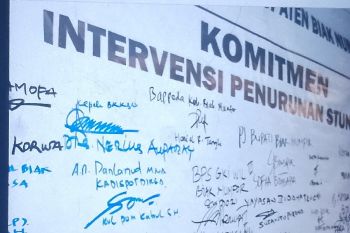 Pemkab Biak Numfor maksimalkan peran Bapak Asuh Anak cegah stunting