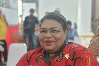 Dinas Pertanian Mimika kembangkan 148 hektare untuk padi gogo
