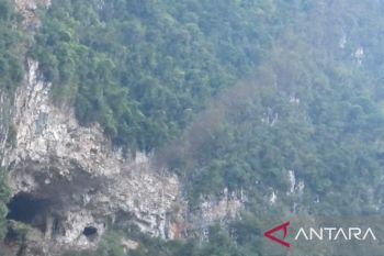 Surga Kelelawar di Geopark Ranah Minang Silokek