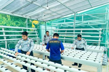 Lapas Tarakan Dirikan Greenhouse Hidroponik Untuk Mendukung Ketahanan Pangan Nasional