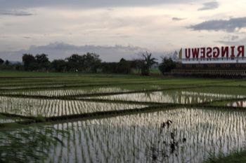 Pemprov Lampung distribusikan benih padi ke petani terdampak banjir