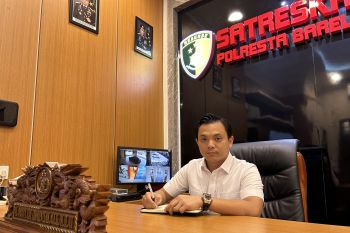 Polresta Barelang buru pelaku penyeludupan benih lobster di Sekupang