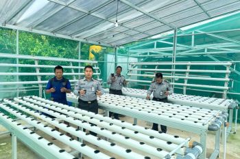 Lapas Tarakan libatkan warga binaan bangun rumah hijau hidroponik