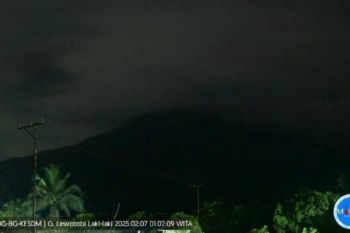 Gunung Lewotobi kembali erupsi pada Jumat dini hari