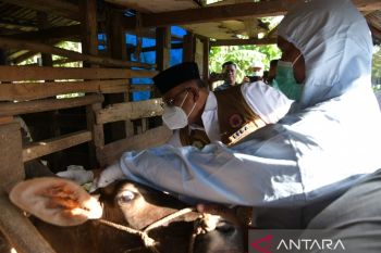 PJ Gubernur: Aceh berhasil tekan PMK, hanya tersisa empat kasus