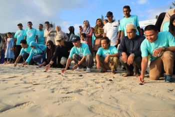 100 tukik dilepaskan ke pulau terluar untuk mendukung konservasi