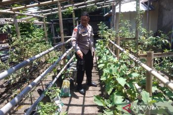 Polisi dukung KWT di Mataram tanam komoditas pangan