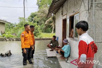 BPBD Lampung Selatan data rumah terdampak banjir di Kecamatan Way Panji