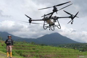 Menjaga ketahanan pangan dengan tumbuhkan cinta bertani pada generasi muda