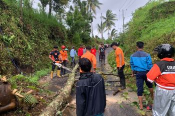 Sejumlah rumah di Lombok Timur rusak diterjang angin kencang