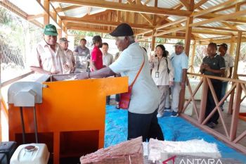 Ditjen Perkebunan RI: Rumah sagu membantu tingkatkan ekonomi masyarakat