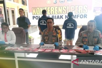 Polres Biak tangkap dua pengedar narkotika jenis ganja