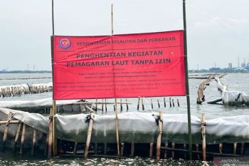 KKP awasi pembongkaran mandiri pagar laut