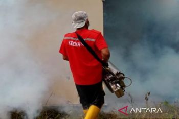 Dinkes Lampung Selatan gencarkan fogging untuk antisipasi DBD