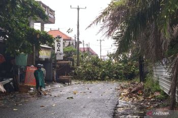 Cuaca ekstrem di Bali, kecepatan angin capai 60 km per jam
