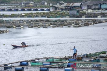 KKP mengimbau penggunaan KJA sesuai standar