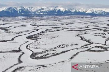 Trump: AS akan amankan Greenland "dengan cara apa pun"