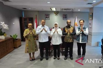 Kementerian PANRB beri kuota 4.685 orang CASN Papua Pegunungan