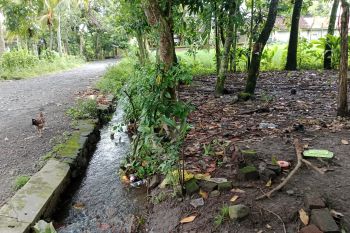 Musim hujan, Warga Lombok Timur diminta waspadai ISPA dan DBD