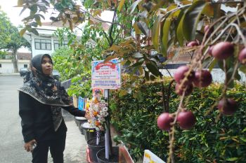 Bupati Ponorogo terpilih: Ucapan selamat gunakan bibit tanaman produktif