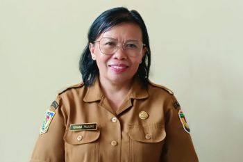 Bappeda sebut Dana otonomi khusus Mimika sebesar Rp230,03 miliar pada 2025
