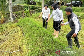 legislator minta Distanbun NTB atasi sawah terdampak banjir