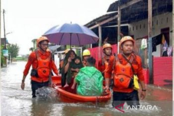 BNPB sebut sebanyak 2.164 warga mengungsi akibat banjir di Kota Makassar
