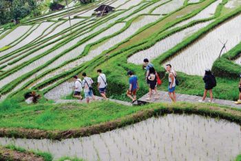 JATILUWIH GELAR &rdquo;NGAJAK NANDUR&rdquo; DORONG PARIWISATA BERKELANJUTAN